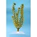 Tetra 19117 Water Wonders Fresh Water Plant Cabomba, 9-Inch