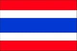 3 x 5 Feet Thailand Poly - indoor International Flag Made in US.