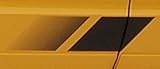 05-07 AUTHENTIC Saleen Mustang Black Decal Stripe Pckg