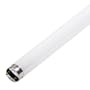 GE 41375 - F14T8/AR/SA - 14 Watt T8 Fluorescent Saltwater Aquarium Light Bulb
