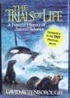 The Trials of Life : A Natural History of Animal Behavior