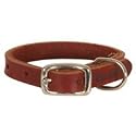 Coastal Pet Products Latigo Leather Town Collar for Dogs