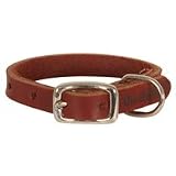 Coastal Pet Products Latigo Leather Town Collar for Dogs - B0002RJM2I