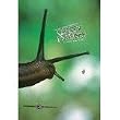 Creepy Fingers By Volcom Stone DVD