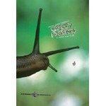 Creepy Fingers By Volcom Stone DVD