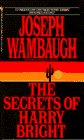 The Secrets of Harry Bright (03968)