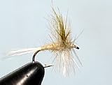 Light Cahill Size: 16