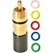 6 Color RCA RG6 Compression Connector