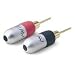 Belkin Pure AV Do-It-Yourself Gold Speaker Pins - Speaker connector - pin (M)