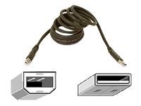 Childrens Toyshop  Electronics : Belkin Pro Series Hi-Speed USB 2.0 Device Cable 0.9m