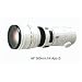 Konica Minolta �n�C�X�s�[�hAF�A�|�e��300mm F4G W/C