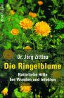 Die Ringelblume - Nat&uuml;rliche Hilfe bei Wunden und Infekten. - J&ouml;rg Zittlau