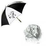 Dachshund Longhair Umbrella by Porcelain by Rosalinde (60' Arc)