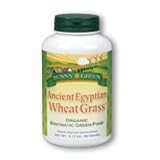 UPC 632651956445 product image for Ancient Egyptian Wheat Grass Sunny Green 90 gm Powder | upcitemdb.com
