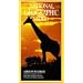 Essential African Wildlife Videos