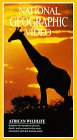City Travel Guides Discounted  VHS : National Geographic:African Wi
