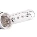 1000w Starlite Bulb