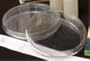 PIONAIR Mold Test Kit Petri Dish