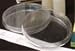 PIONAIR Mold Test Kit Petri Dish