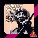 Muddy Waters - Rollin