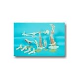 Anatomical Model of Skeletal Leg/Foot Plastic Leg and Foot (skeletal)