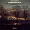 Gro�e Symphonien des 20. Jahrhunderts