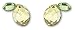 Swarovski Mini Bord Galet Pierced Earrings
