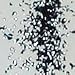 Black Edible Glitter