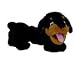 Kyjen Company Junior Bungee Rottweiler Pet Toy