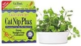 Pet Supplies : CatNip Plus - brings live fresh catnip indoors