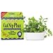 CatNip Plus - brings live fresh catnip indoors