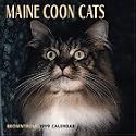 Cats Maine Coon Cats Calendar