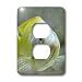 Kike Calvo Animals - Picturing fish in the biggest river aquarium in Europe - Light Switch Covers - 2 plug outlet cover