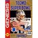 Tecmo Super Bowl