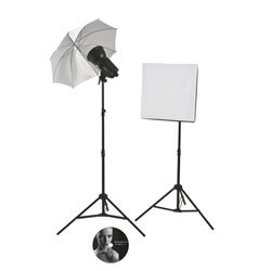 Strobelite 300 watt 2 Light Educational Kit