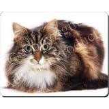 BEAUTIFUL TABBY CAT Mouse Mat / Pad