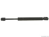 Stabilus Hood Strut