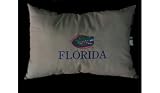 Florida Gators Travel Pillow