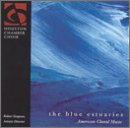 The Blue Estuaries