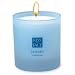 Kiss My Face Soy Wax Candle
