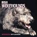 Irish Wolfhounds Calendar