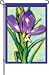12 IN FLAG - RESPLENDENT IRIS