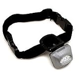Pet Supplies : PupLight Dog Safety Light, Silver