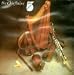 The Chieftains 5