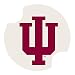 Carsters - Indiana University - Coasters for Your Car