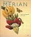Maria Sibylla Merian: Artist And Naturalist