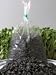 Organic Unshelled Sunflower Seed - 5 Bags (About 2.5 Lbs) - Grow Into 3 Inch Sprouts for a Phenominal Addition to Salads, or a Complete Salad. Excellent Germination Rates.