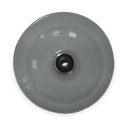 Westward 2ZYF4 Shield, Fluid Chip, 3 15/16 In Length