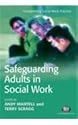 Safeguarding Adults in Social Work (Transforming Social Work Practice)