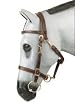 Down Under Light Halter Bridle